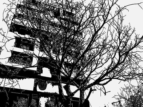 Description1