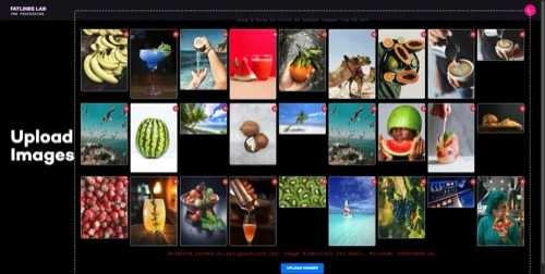 Description1