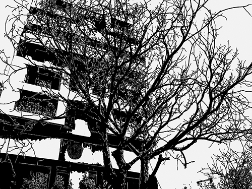 Description1